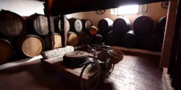 Los vinos malagueños con denominación de origen se unen en ‘Málaga, la mar de vinos’