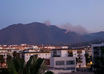 Tercer día bajo las llamas con todas las miradas puestas en el pinsapar