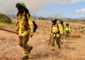 Dado de alta el segundo bombero herido en el incendio de Sierra Bermeja