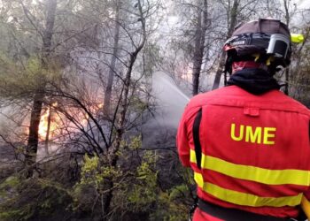 El incendio en Sierra Bermeja pasa a nivel 2 y el Ejército ya está preparado para intervenir