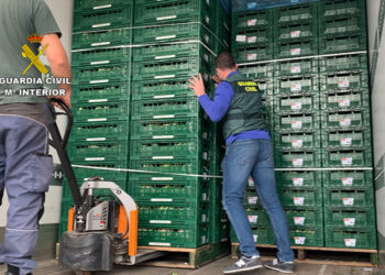 Registros en Estepona y Marbella con detenidos que transportaban hachís entre cargas de coliflor