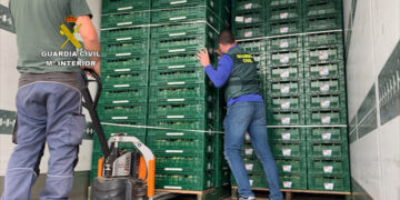 Registros en Estepona y Marbella con detenidos que transportaban hachís entre cargas de coliflor