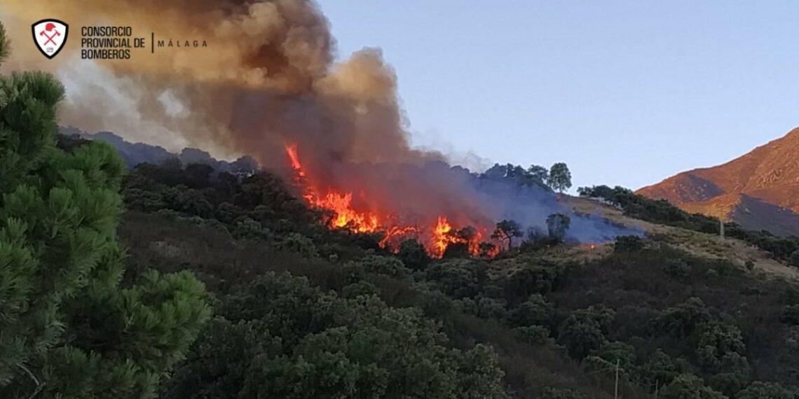 Estabilizado el incendio forestal declarado en Casares