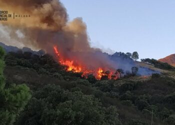 Estabilizado el incendio forestal declarado en Casares