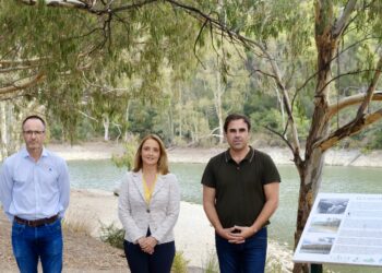 Cs Marbella reclama al Ayuntamiento actuaciones para mejorar el entorno del Lago de las Tortugas