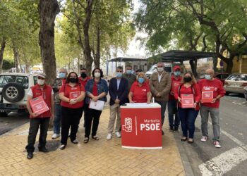 El PSOE de Marbella solicita la vuelta a la presencialidad en los centros de salud y más medios