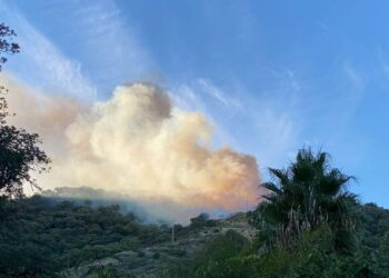 80 bomberos forestales intentan sofocar un nuevo incendio en el término municipal de Casares