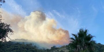 80 bomberos forestales intentan sofocar un nuevo incendio en el término municipal de Casares