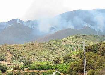 Unidas Podemos pide en Diputación que se elimine el tendido eléctrico aéreo de Sierra Bermeja