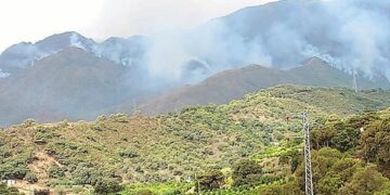 Unidas Podemos pide en Diputación que se elimine el tendido eléctrico aéreo de Sierra Bermeja