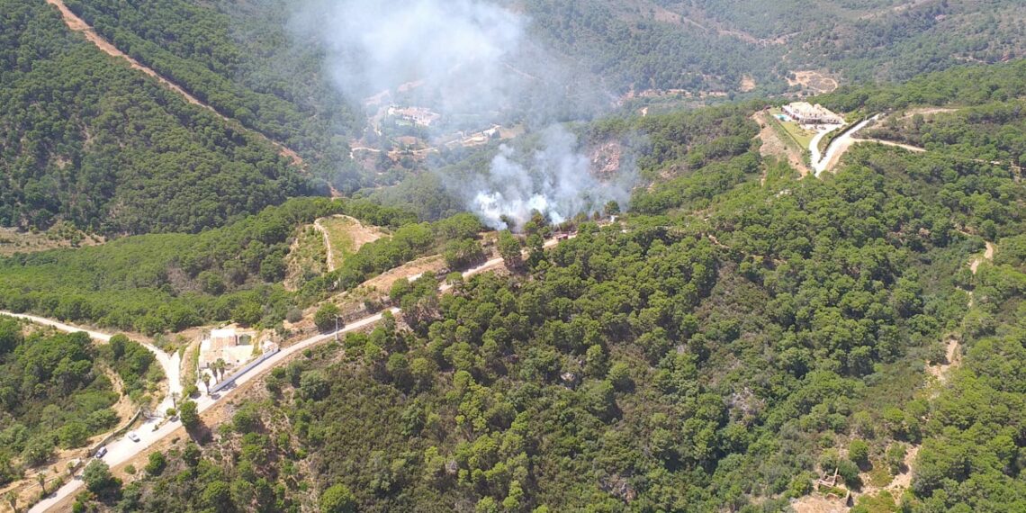 El incendio en Sierra Bermeja arrasó 4 mil hectáreas de Estepona y 1.300 en Casares