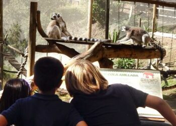 Selwo retoma las visitas de colegios e institutos tras el parón por el Covid