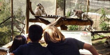 Selwo retoma las visitas de colegios e institutos tras el parón por el Covid