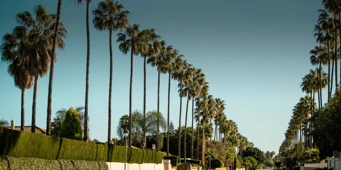 Hallan el cuerpo sin vida de una joven de Secadero en la urbanización de Sotogrande