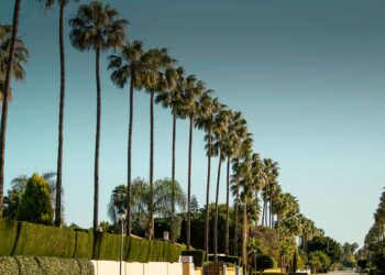 Hallan el cuerpo sin vida de una joven de Secadero en la urbanización de Sotogrande