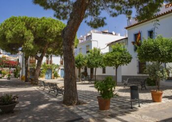 250 nuevos árboles para Estepona en busca de la ciudad sostenible