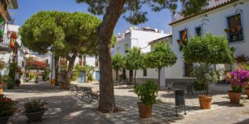 250 nuevos árboles para Estepona en busca de la ciudad sostenible