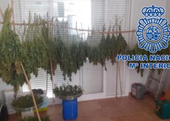 Desmantelados hasta seis cultivos de marihuana en casas de alquiler de la Costa del Sol