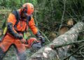 Se busca personal para la restauración de Sierra Bermeja