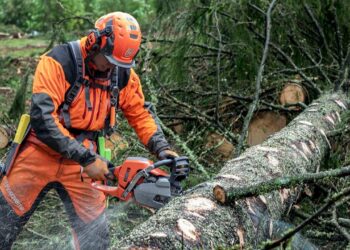 Se busca personal para la restauración de Sierra Bermeja