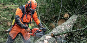 Se busca personal para la restauración de Sierra Bermeja