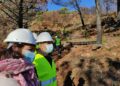 Comienzan las obras de recuperación de los terrenos afectados por el incendio de Sierra Bermeja