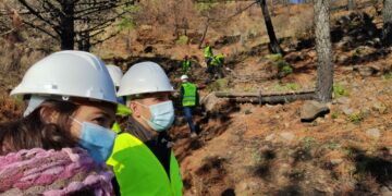 Comienzan las obras de recuperación de los terrenos afectados por el incendio de Sierra Bermeja