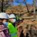Comienzan las obras de recuperación de los terrenos afectados por el incendio de Sierra Bermeja