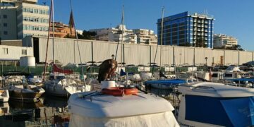 Rescatado un buitre leonado en la zona de embarcaciones recreativas de La Bajadilla, en Marbella