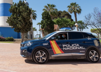 Detienen a un hombre que fue sorprendido disparando a los gatos de una vecina