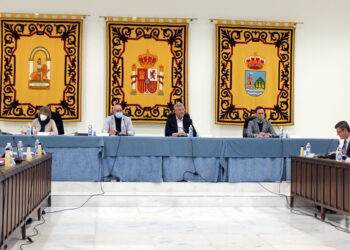 El Pleno de Estepona aprueba dedicar un espacio público del municipio al Ejército del Aire