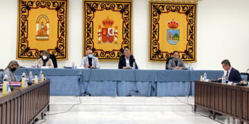 El Pleno de Estepona aprueba dedicar un espacio público del municipio al Ejército del Aire