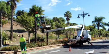 Estepona podará más de 2.000 árboles tras intensificar la campaña anual
