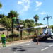 Estepona podará más de 2.000 árboles tras intensificar la campaña anual