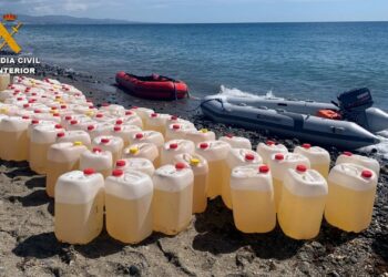 Veinte detenidos en Marbella y Estepona en una operación contra el tráfico de hachís