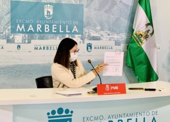 El PSOE pide controlar las viviendas turísticas de Marbella