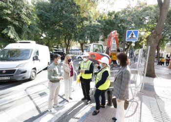 Marbella inicia la remodelación integral de la avenida El Trapiche