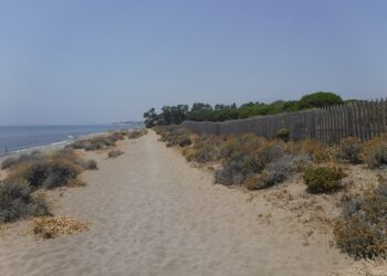 El Psoe pide al Ayuntamiento de Estepona que proteja las dunas Matas Verdes