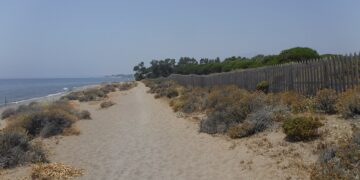 El Psoe pide al Ayuntamiento de Estepona que proteja las dunas Matas Verdes