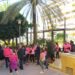 Marbella se vuelca en una nueva «Marea Rosa» en apoyo a las pacientes con cáncer de mama