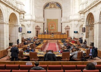 VOX es el partido político con más dinero del Parlamento de Andalucía y PSOE el que menos