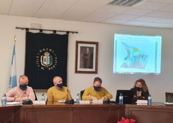 Manilva aprueba por unanimidad la regulación de proyectos de renovables en el municipio