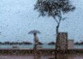 La Costa del Sol espera un domingo con altas probabilidades de lluvias