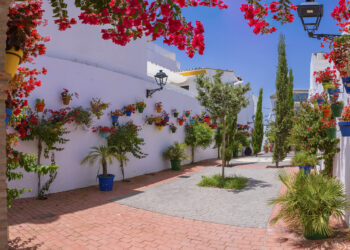 Estepona prepara un Plan de Acción con medidas locales contra el cambio climático