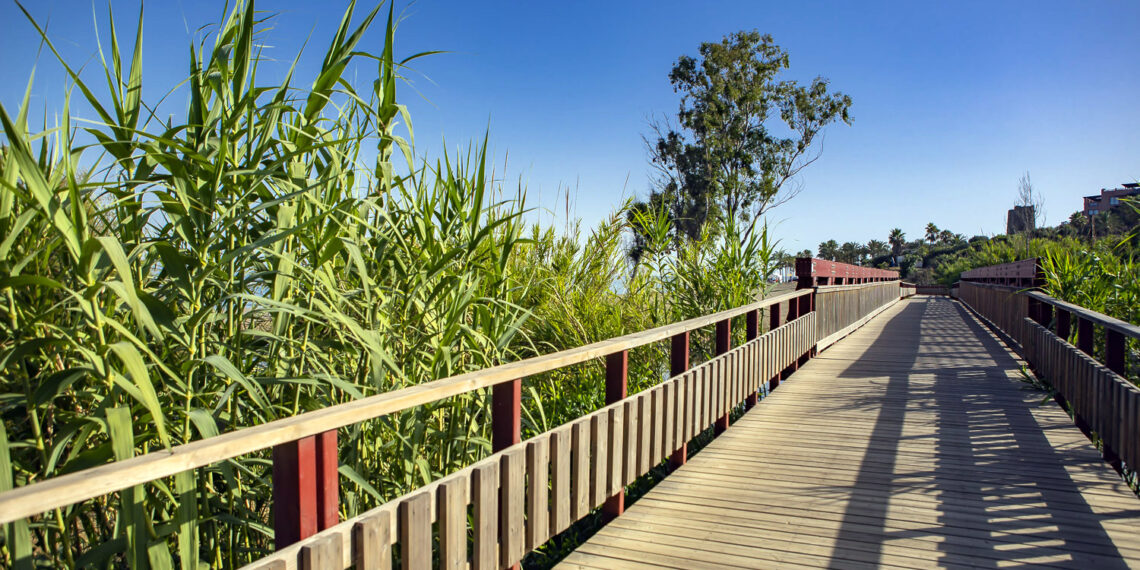 Finalizan los trabajos de puesta a punto del corredor litoral a su paso por Estepona