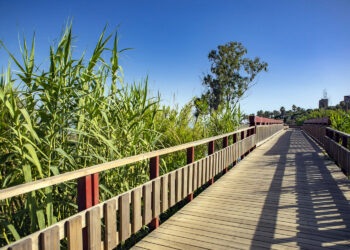 Finalizan los trabajos de puesta a punto del corredor litoral a su paso por Estepona