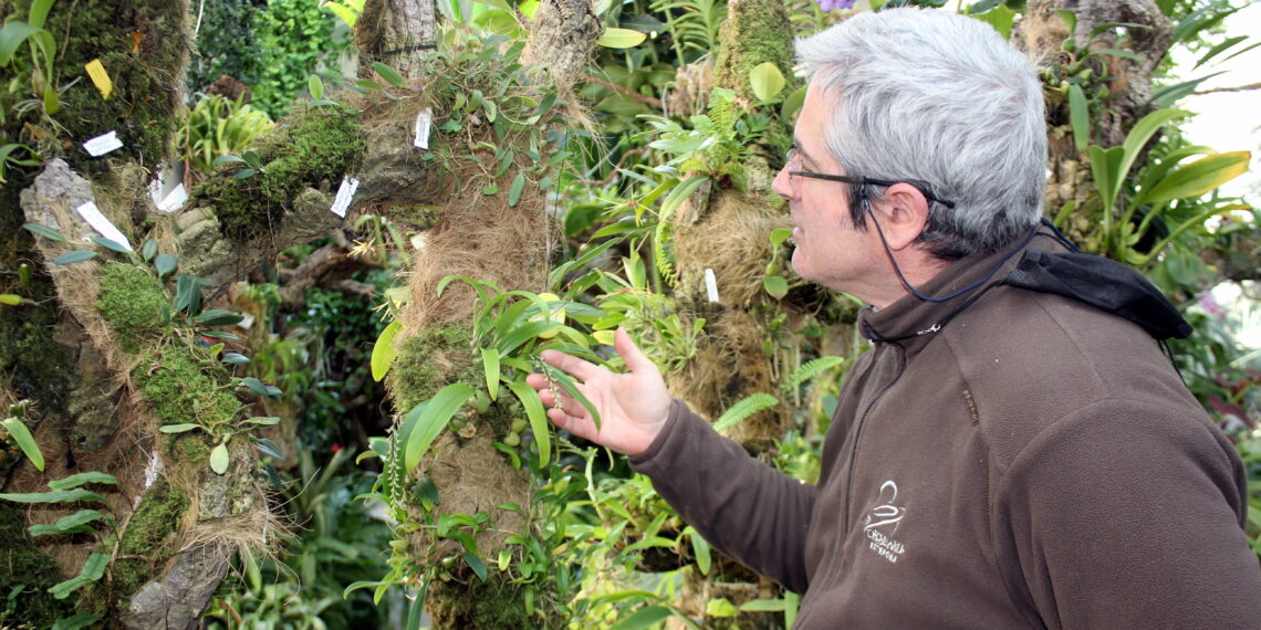 El Parque Botánico-Orquidario de Estepona acoge estos días la floración de más de treinta nuevas especies