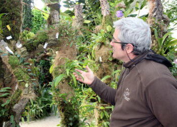 El Parque Botánico-Orquidario de Estepona acoge estos días la floración de más de treinta nuevas especies
