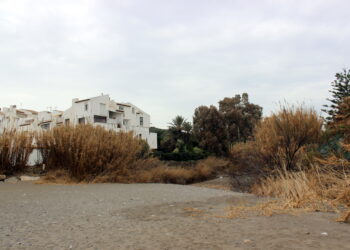 Estepona licita las obras para la ejecución de un tramo de corredor litoral en Arroyo Vaquero