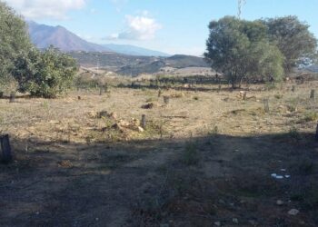 El pulmón de Manilva cumple un año